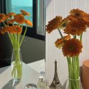 광산구-091 | 가091기 +10