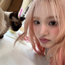 리즈컬러 이미지