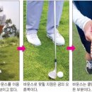 리딩프로주 이미지