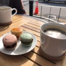 지마카롱 이미지