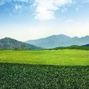 세일CC스타트하우스 이미지