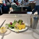 씨드요가 | 겨울 오뎅과 뜨개질, 음주와 요가로 보낸 25년 12월 도쿄