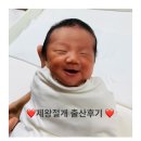 너무 늦은 출산후기(제왕절개후기/대전모태산부인과)