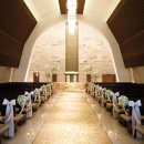 베일리 베일리 이미지