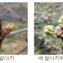 가평군 농업기술센터 이미지