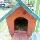 동막골 펜션 이미지