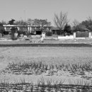 여산남초 이미지