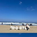 바우아이스크림 네이버블로그
