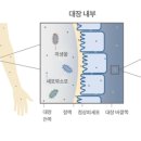 엠디케어 이미지