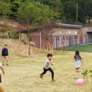 살랑살랑 이미지