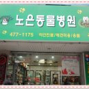 노은동물병원 Daum카페
