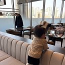 호텔 모모 | [영등포] 메리어트 호텔 뷔페 모모카페 런치 후기 돌잔치 돌식사 내돈내산 (26.01 리뉴얼)