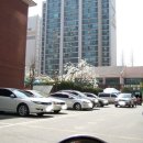 좋은마을공인중개사사무소 이미지