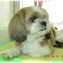 신사1동 4-8 이미지