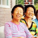 성의 농장 이미지