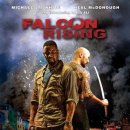 팔콘 라이징 (Falcon Rising,액션,모험,2014) 이미지