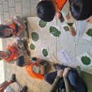 김포서초병설유치원 이미지