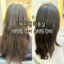 당근미용실 - 창원시 진해구 용원로 76-1 | 해운대미용실 미다인헤어 중동 미용실 클리닉 후기 / 진원 디자이너