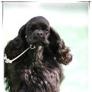 노블라인 이미지