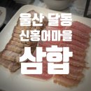 홍어마을 | 울산 달동 홍어 맛집 신홍어마을 홍어삼합 후기