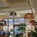 상관편백숲길 | 대전 지족동 외식 장소 추천, 깔끔하고 정갈한 '편백숲 샤브길' 내돈내산 솔직 후기!