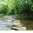 방화동 생태길 이미지