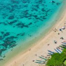 파라다이스 이미지