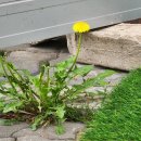 논현삼거리공인중개사사무소 이미지