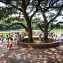 낙동강체육공원 자전거대여소 이미지