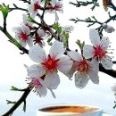 (주)햇살내음 이미지
