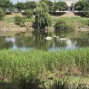 금영공인중개사사무소 이미지