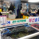 부산회수산