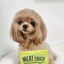 마이펫미트 이미지