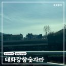 (주)태화강참숯가마 네이버블로그