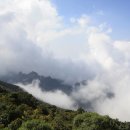 화산-05 Daum카페