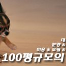 토토카페마루