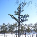 다원태양광 이미지