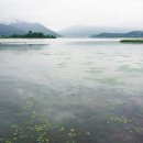 물안개공원 이미지