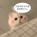 압구정하우스 이미지