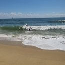 나를품개 이미지