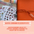 붉은천 | [일상유희 초음파 앨범] 붉은 말띠 에디션 토고 오렌지, 일상유희 토고 오렌지색 내돈내산 후기