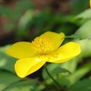 자전거 가족 이미지