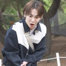 춘천중앙막국수 이미지