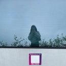 [일상/광양미술관] 전남도립미술관 관람기, 이건희컬렉션<조우> (feat. RM존) 광양 가볼만한곳
