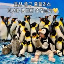 엄마랑 오감발달통합놀이16-29개월 | 울산 중구 홈플러스 울산점 영유아 문화센터 꼬꼬마 놀이터 수강후기