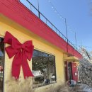 카페브런치 | 파주 아웃팅카페 브런치 후기 루프탑 투명돔 카페