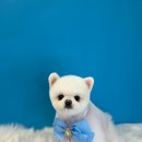 퍼스트멍멍 이미지