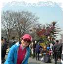 고운미소 이미지