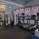 베어리핏 이미지