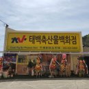 태백축산물백화점 이미지